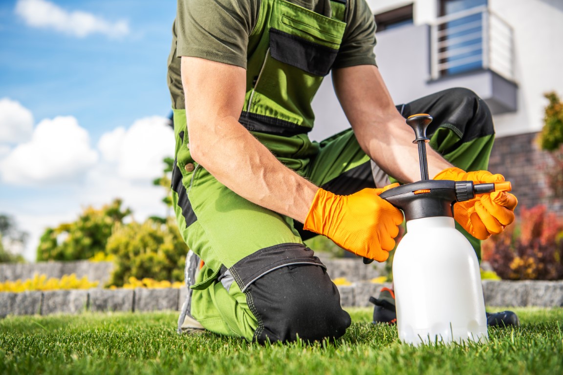 Garden Fungicide and Insecticide Equipment Preparation by Gardener.